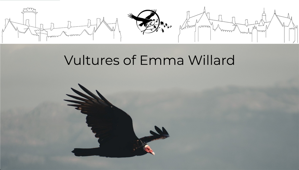 The home page of the vulturesofemma.org website