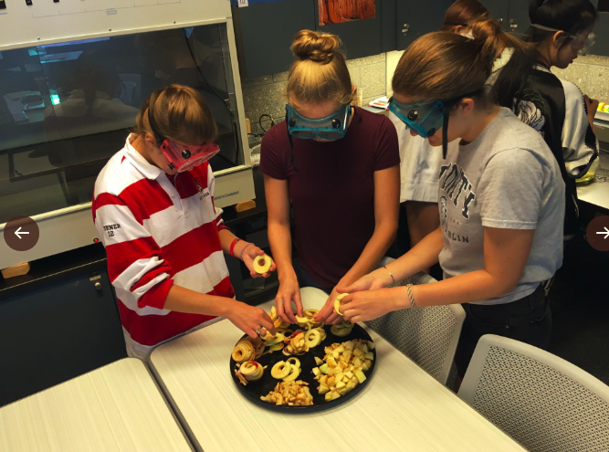 Environmental Science class works on a project with apples from campus